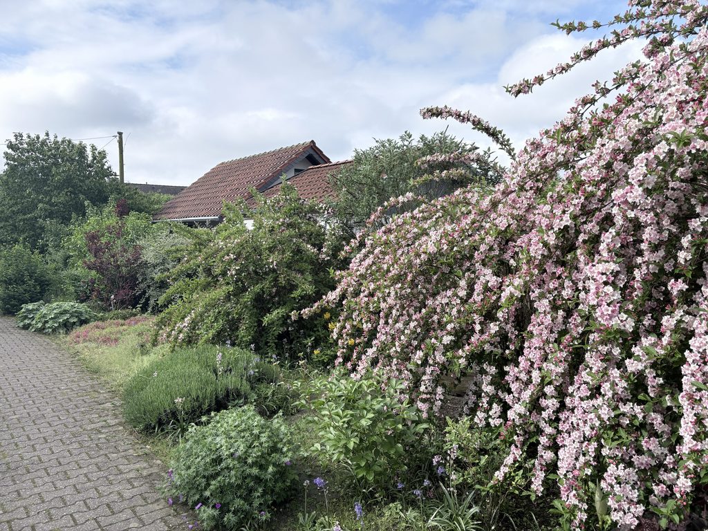 Gartenbild 1024x768